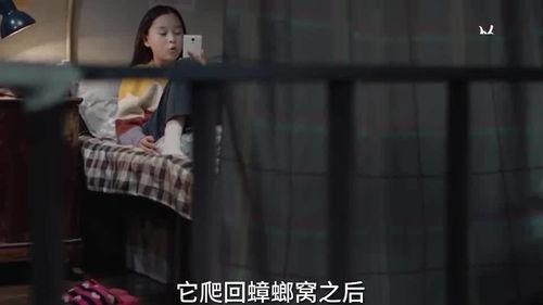 小汪姐姐爆料视频大全最新,揭秘娱乐圈幕后真相